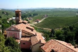 Italian Wine For Beginners - ZYN THE WINE MARKET LTD.