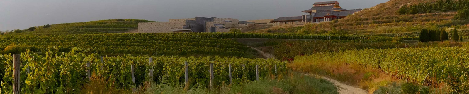 Domaines Barons de Rothschild (Lafite)