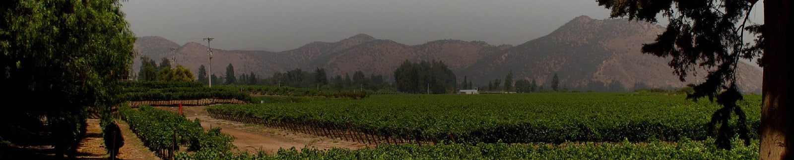 Viña Concha y Toro Collection