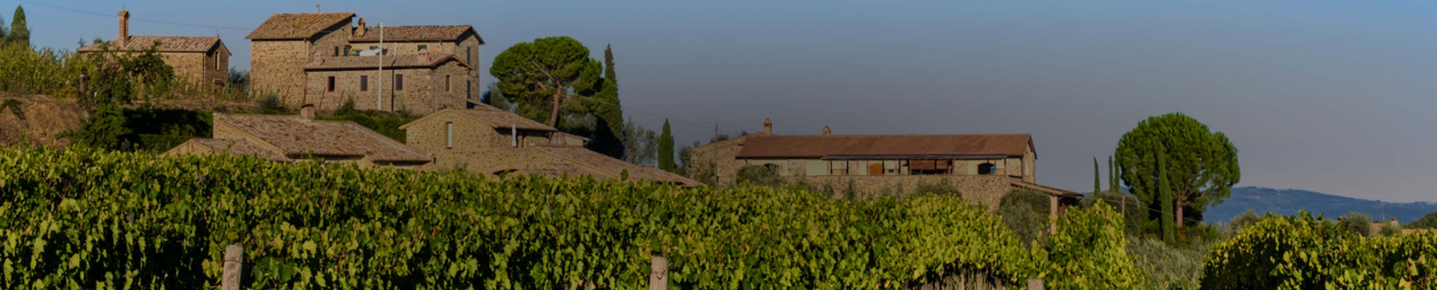 Brunello di Montalcino