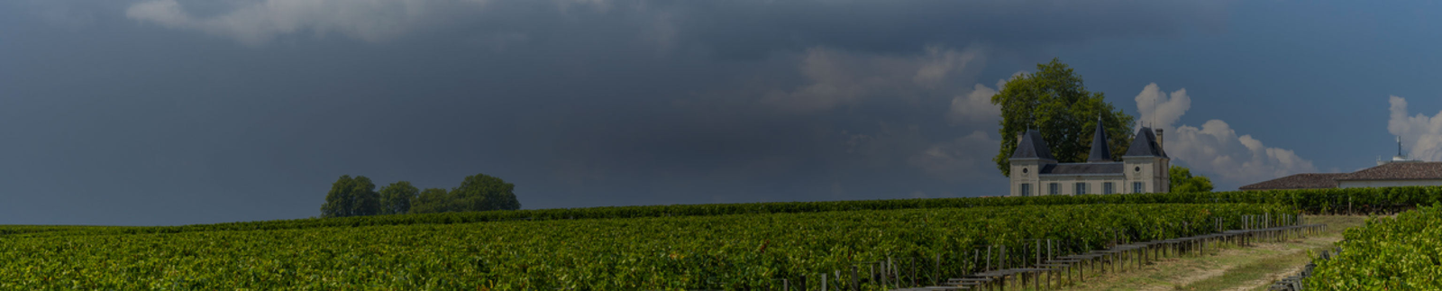Château Margaux Collection