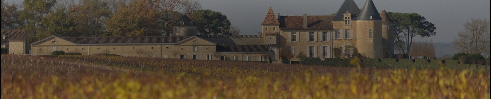 Chateau d'Yquem Collection