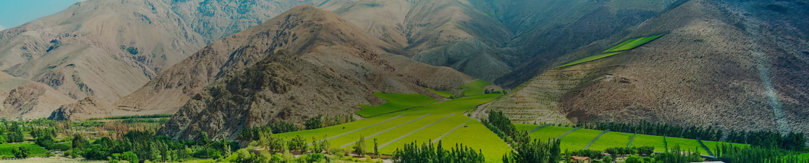 Elqui Valley