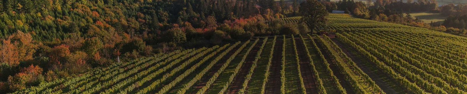 Oregon