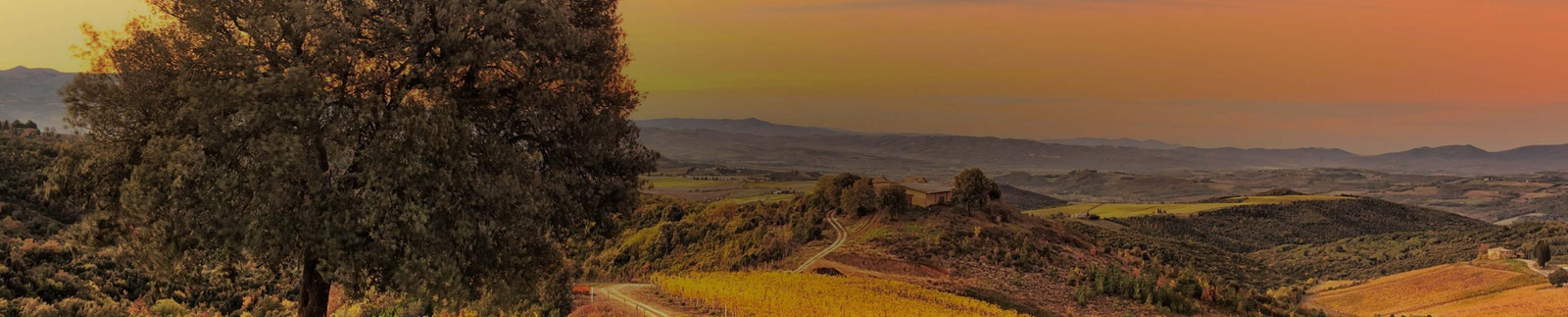 Castiglion del Bosco Collection