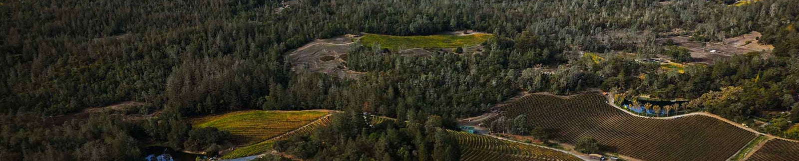 Cathiard Vineyards Collection