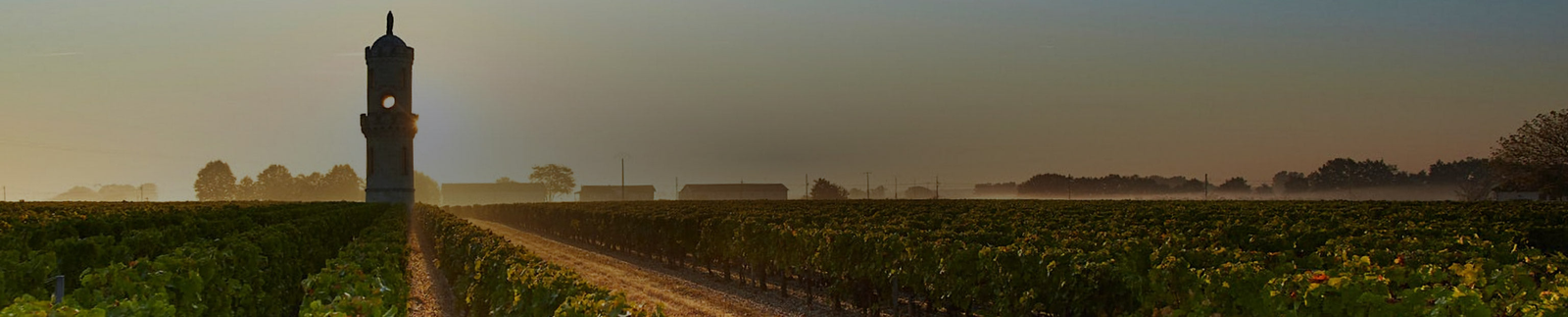 Château Lynch-Bages Collection