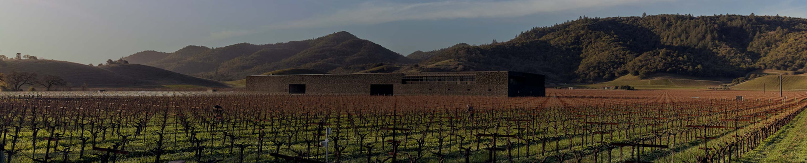 Dominus Estate