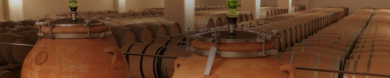 Fontodi Wine Collection