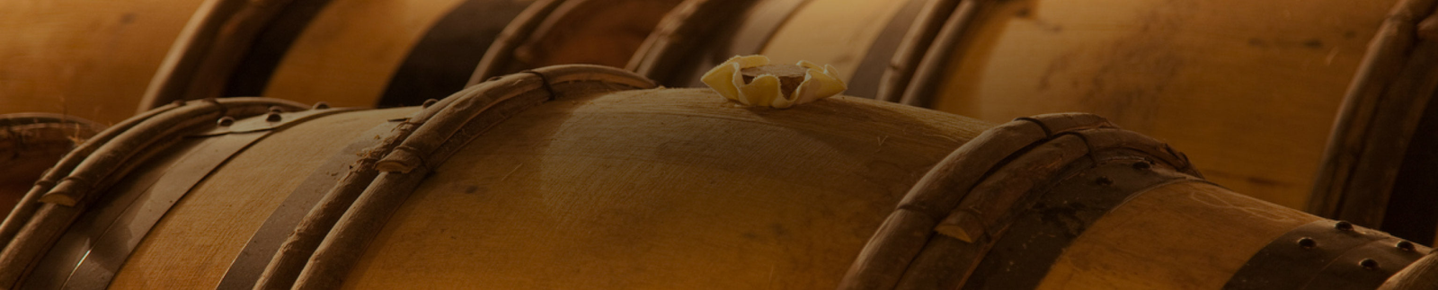 Domaine Gerard Raphet