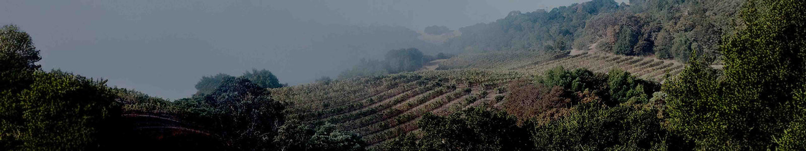 Pym-Rae - Tesseron Vineyards Napa Valley