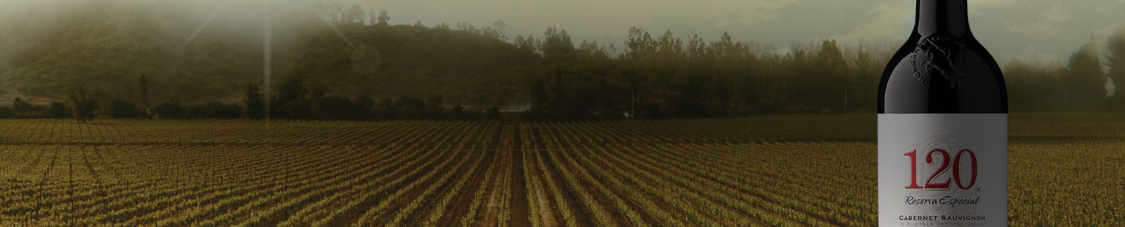 Santa Rita - Wines from Chile