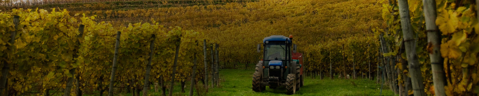 Produttori del Barbaresco Collection