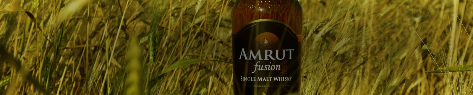 Amrut Distillery Collection