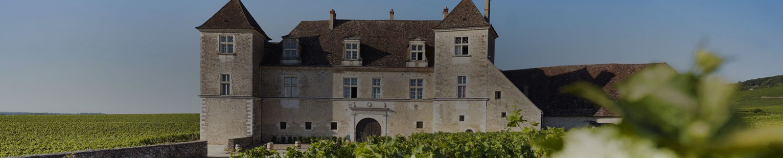 Chateau de la Tour - Burgundy Excellence
