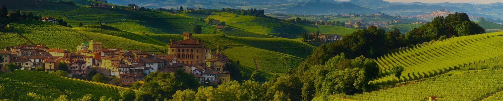 Poderi Aldo Conterno Collection