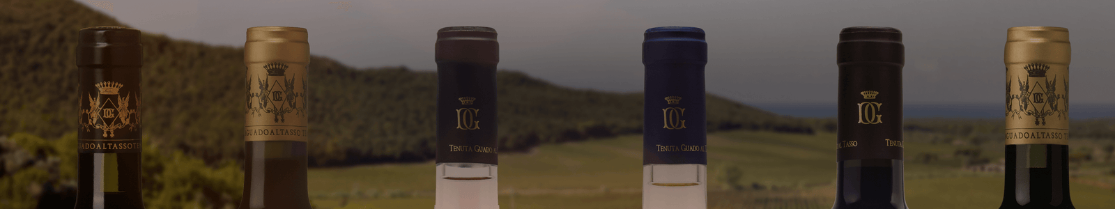 Tenuta Guado Al Tasso - An Antinori Estate