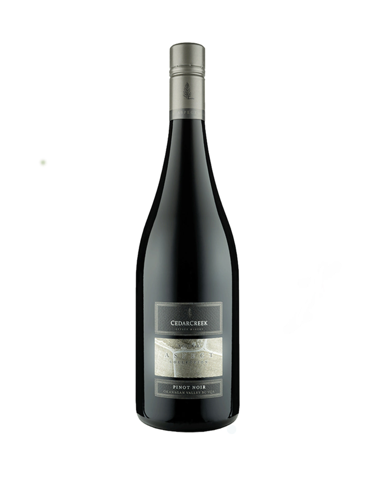 Cedar Creek Pinot Noir Aspect 'Block 2' 2020 - ZYN THE WINE MARKET LTD.