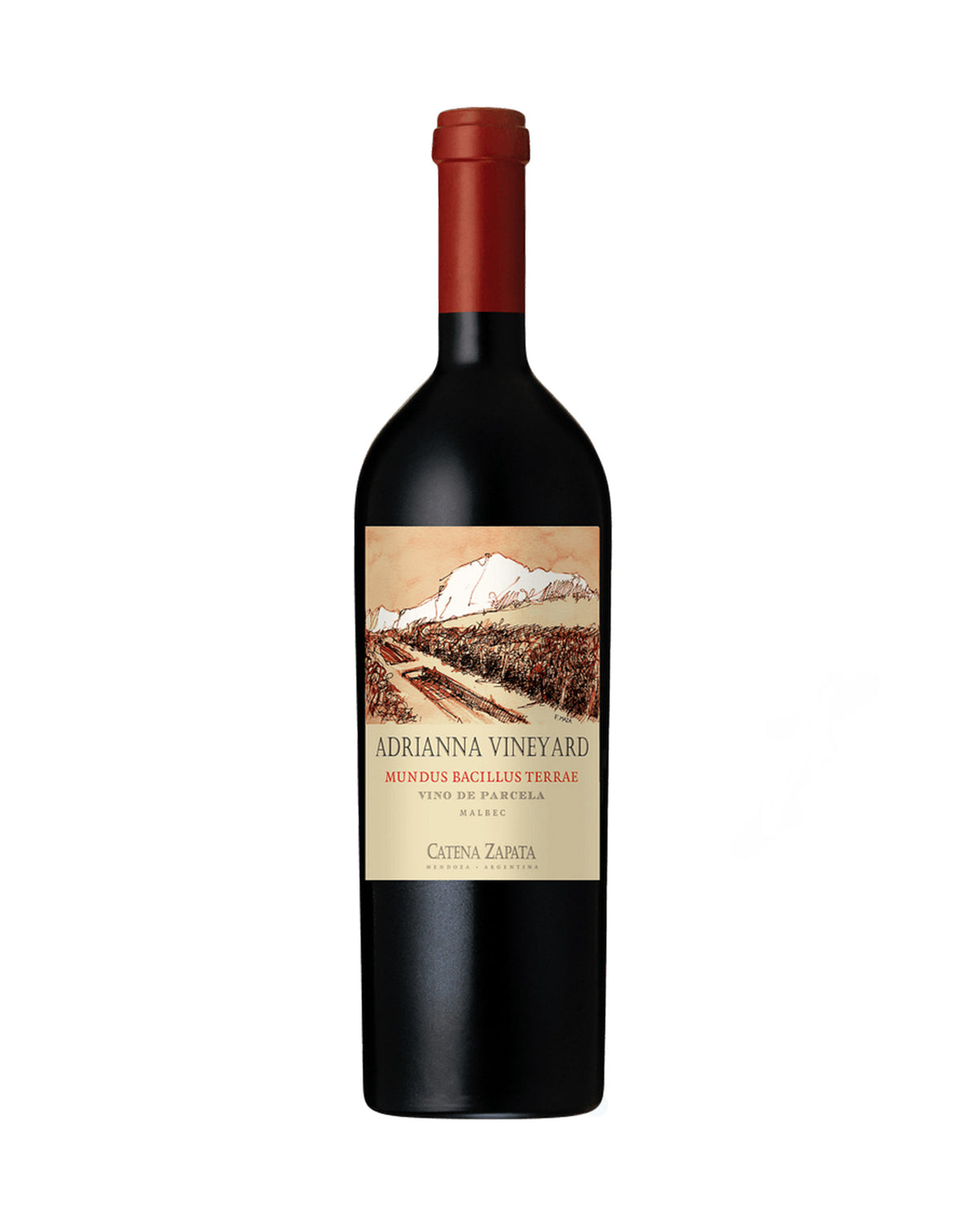 Catena Zapata Malbec 'Adrianna Vineyard Mundus Bacillus Terrae' 2020 - ZYN THE WINE MARKET LTD.