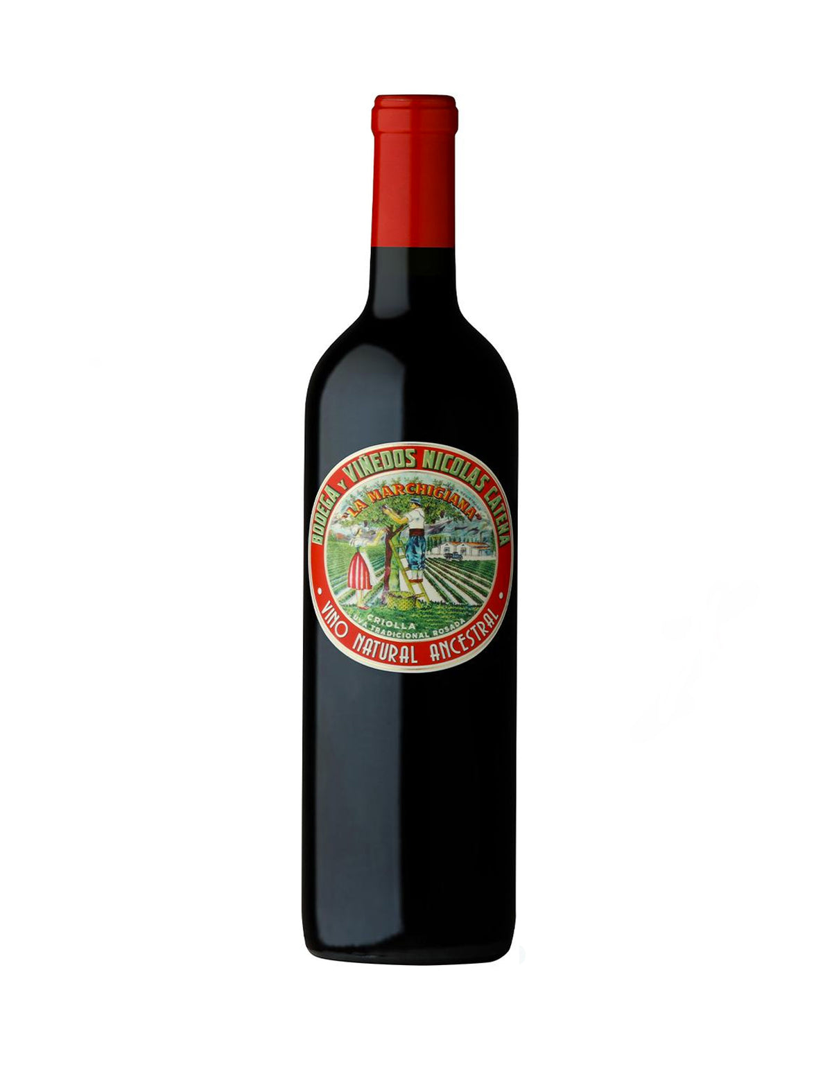 Catena Criolla Chica 'La Marchigiana' - 6 Bottles - ZYN THE WINE MARKET LTD.