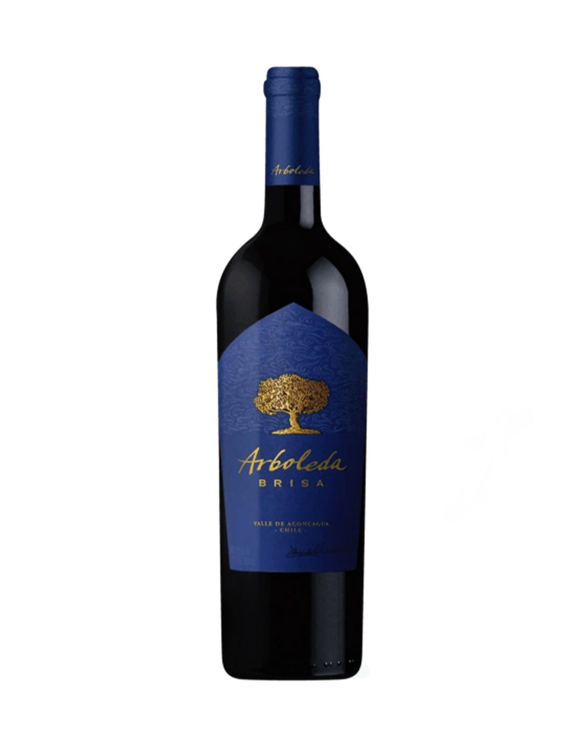 Arboleda Brisa 2021 - ZYN THE WINE MARKET LTD.