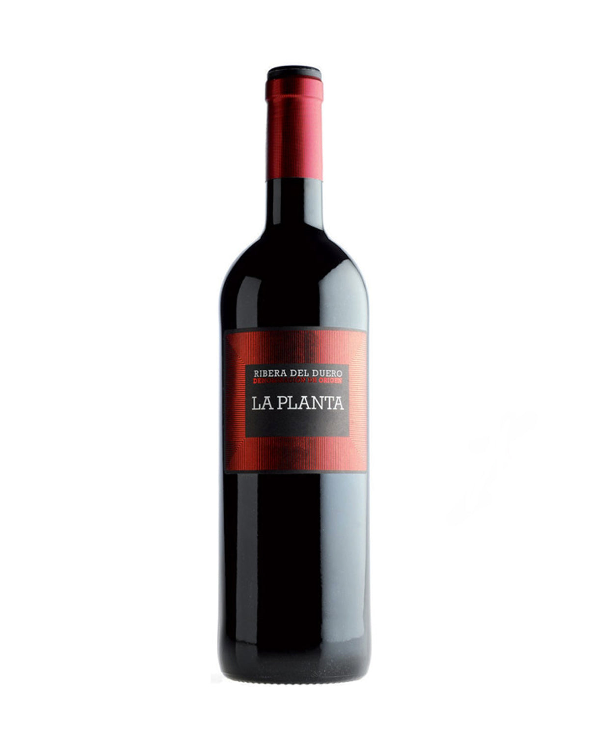 Bodegas Arzuaga 'La Planta' Tempranillo 2021 - ZYN THE WINE MARKET LTD.