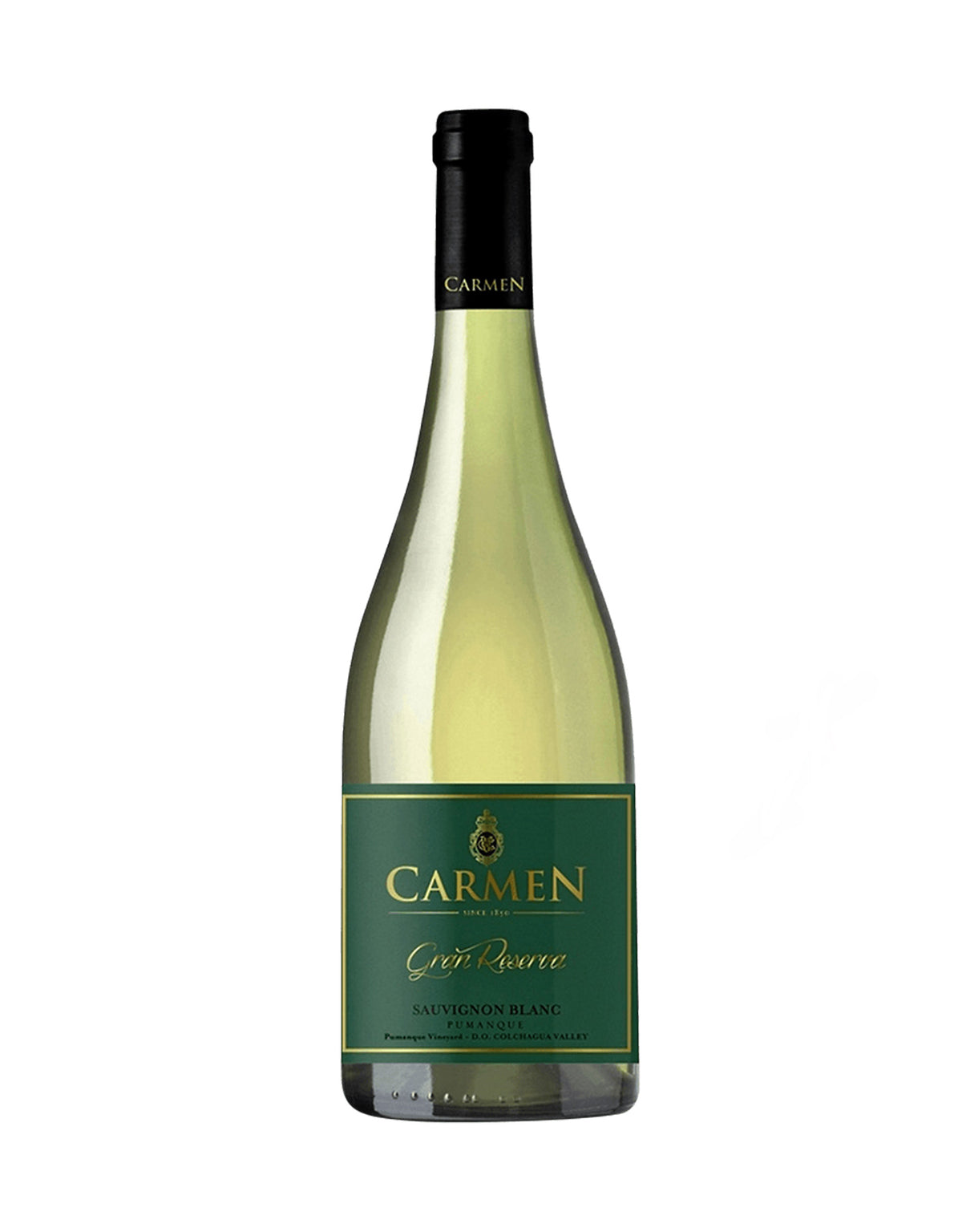 Carmen Sauvignon Blanc Gran Reserve 2021 - ZYN THE WINE MARKET LTD.