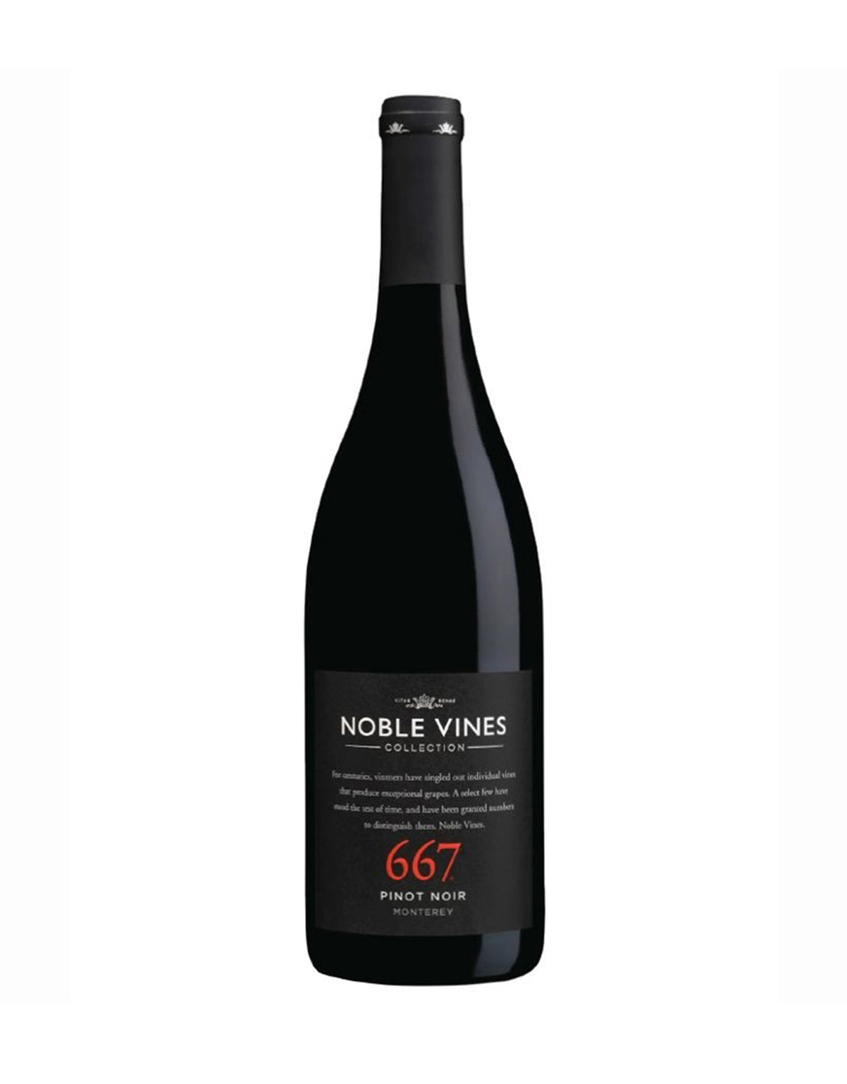 667 Pinot Noir -12 Bottles - ZYN THE WINE MARKET LTD.