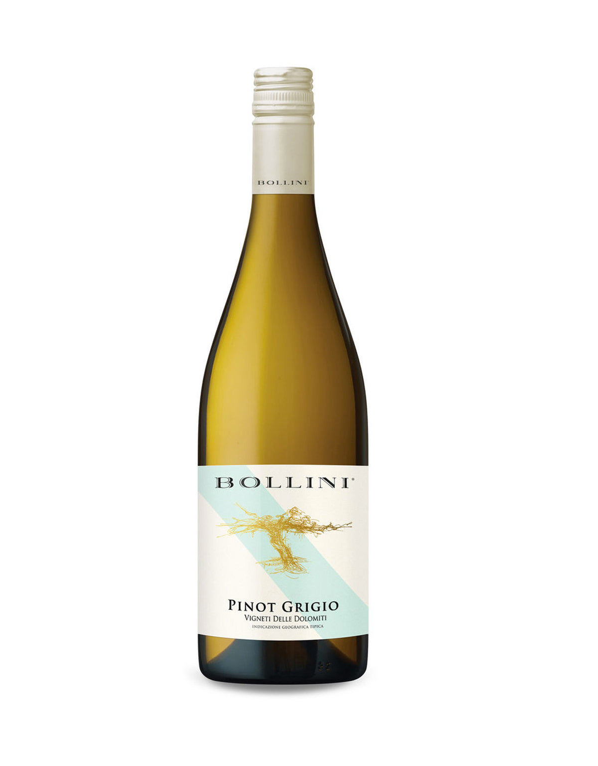 Bollini Pinot Grigio 2022 - ZYN THE WINE MARKET LTD.