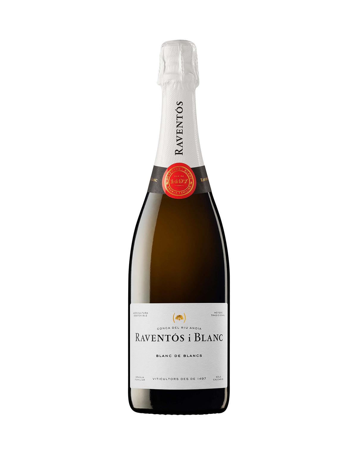 Raventos Blanc de Blancs Brut 2022 - ZYN THE WINE MARKET LTD.