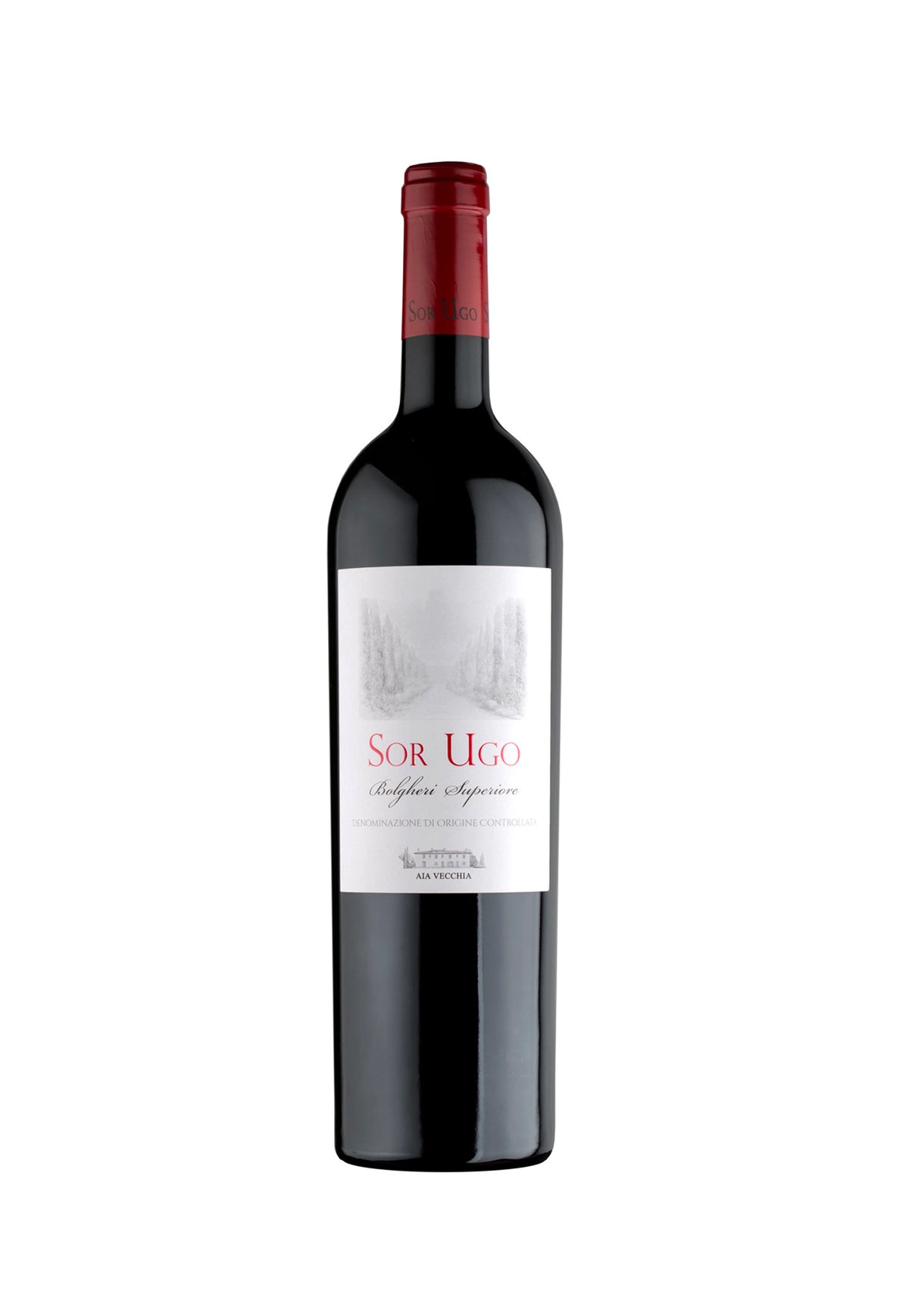 Aia Vecchia Sor Ugo Bolgheri Superiore 2021 - ZYN THE WINE MARKET LTD.