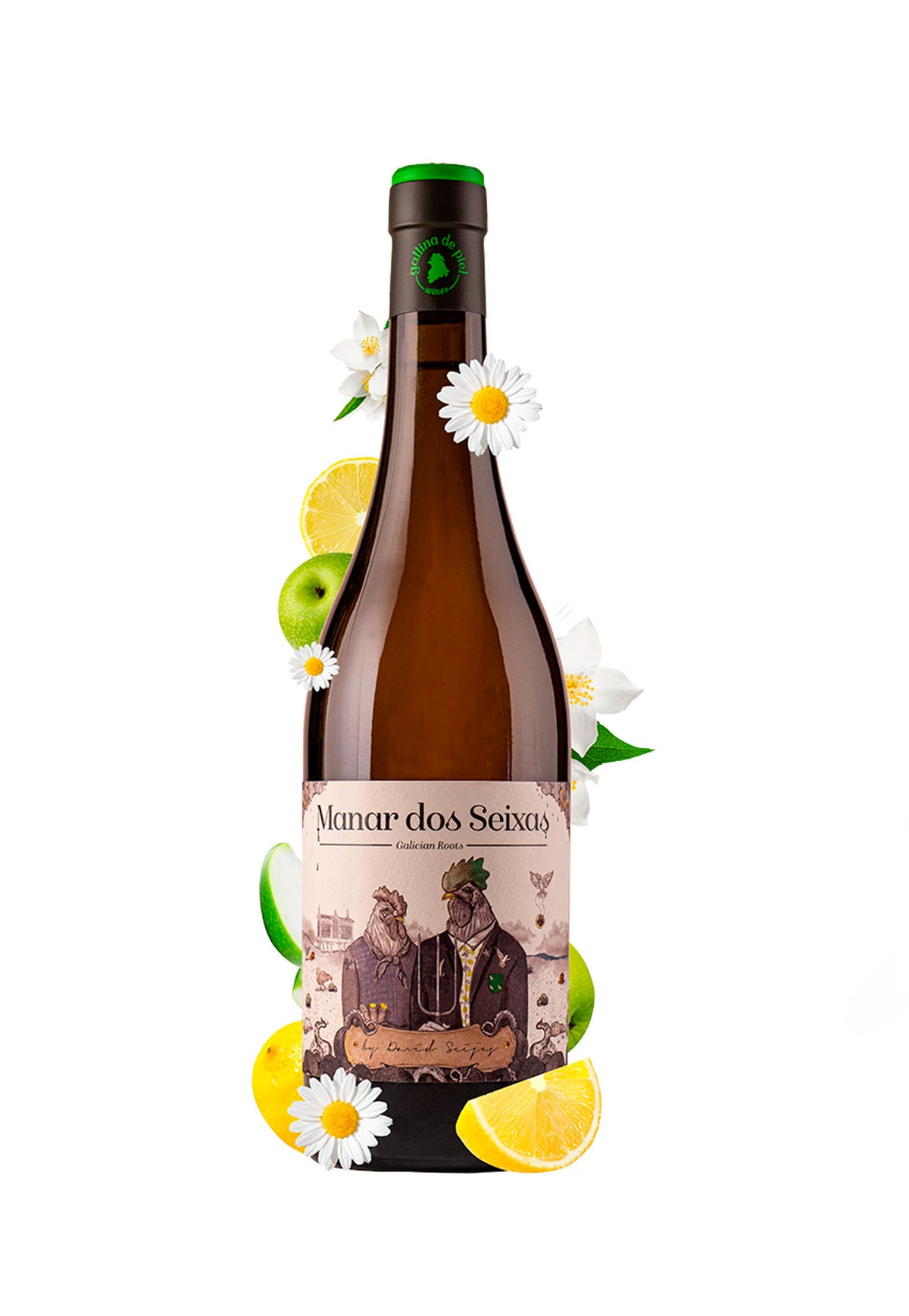 Gallina de Piel Manar dos Seixas 2019 - ZYN THE WINE MARKET LTD.