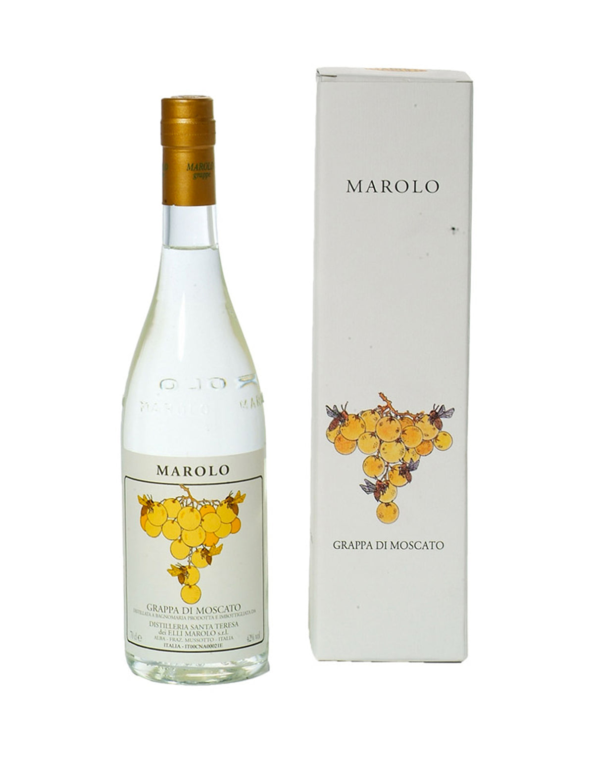 Marolo Grappa di Moscato - ZYN THE WINE MARKET LTD.