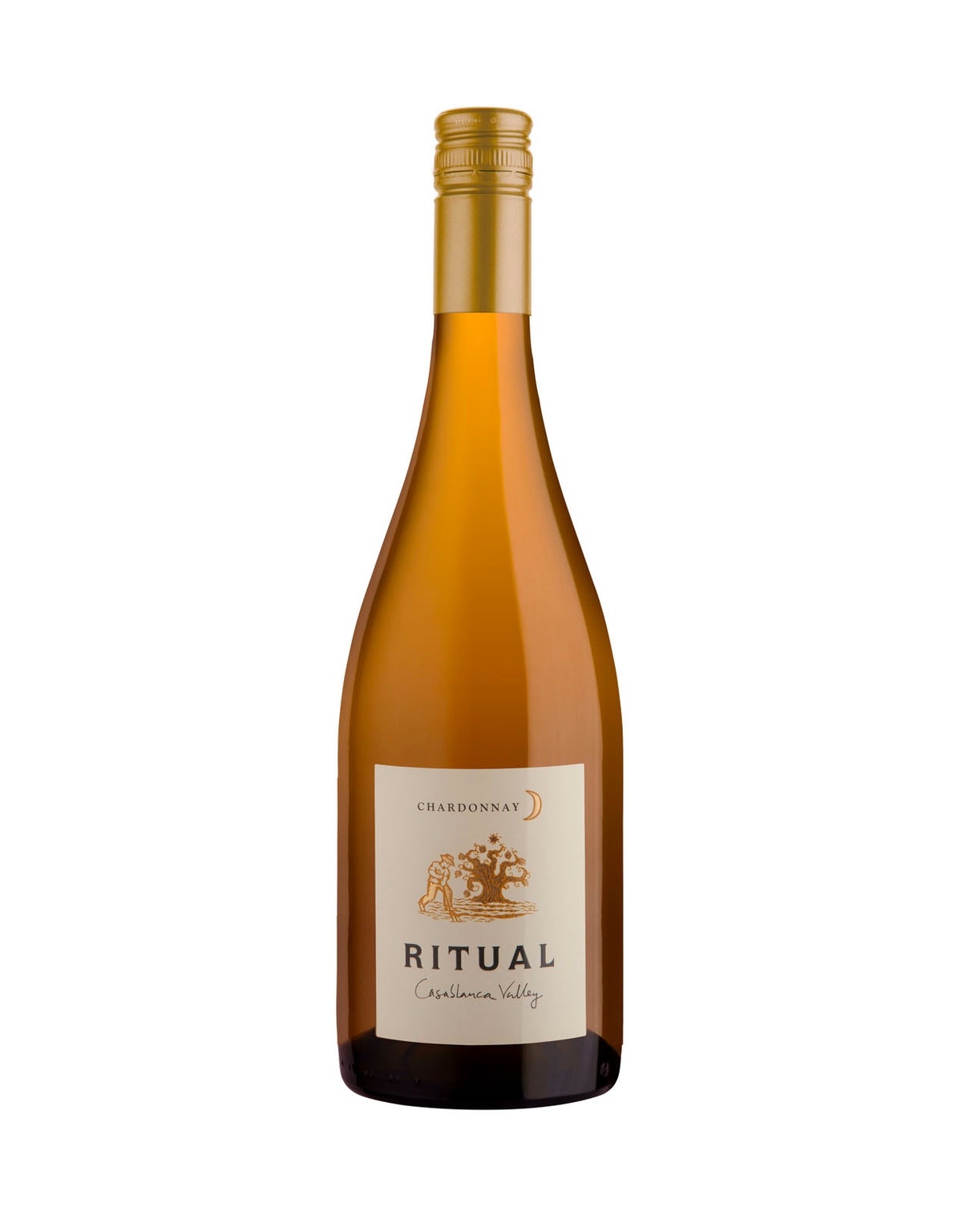 Ritual Chardonnay 2018 - ZYN THE WINE MARKET LTD.