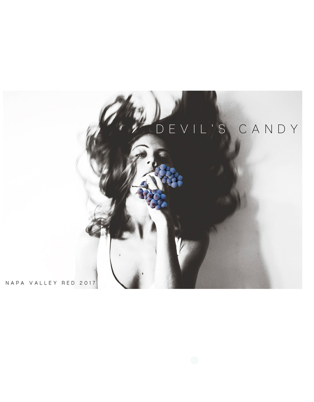 Devil's Candy Red Blend 2019 - ZYN THE WINE MARKET LTD.