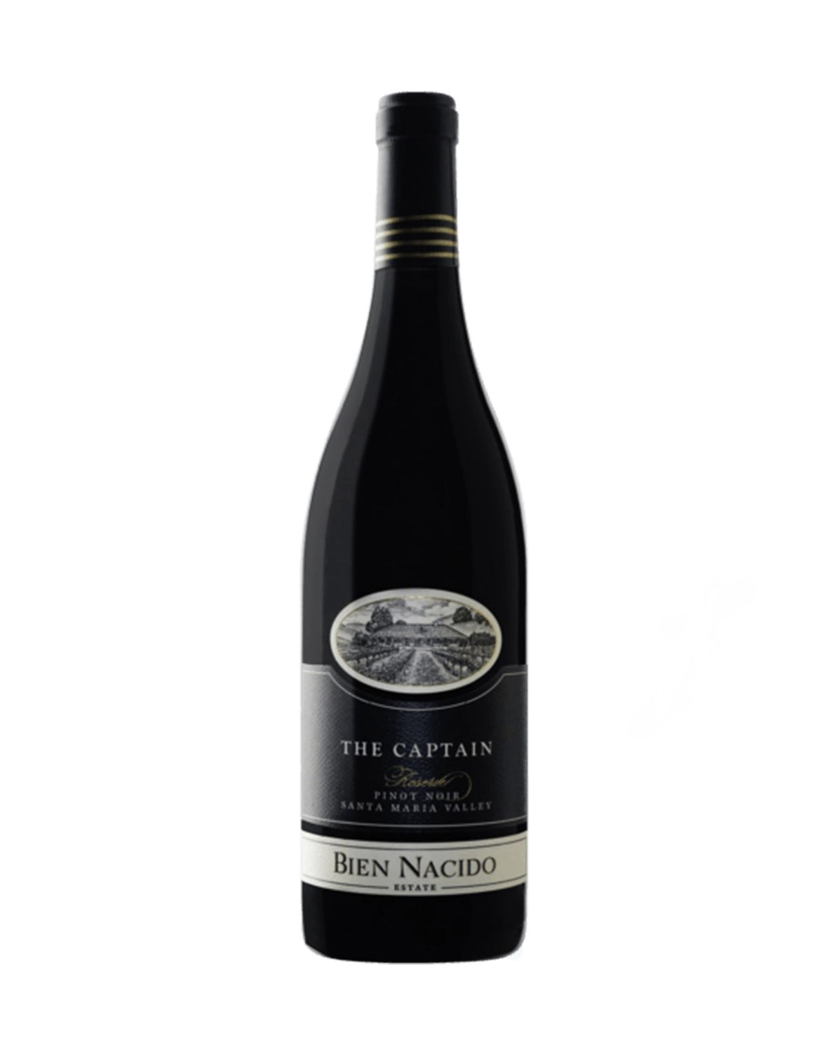 Bien Nacido Pinot Noir 'The Captain' 2013 - ZYN THE WINE MARKET LTD.