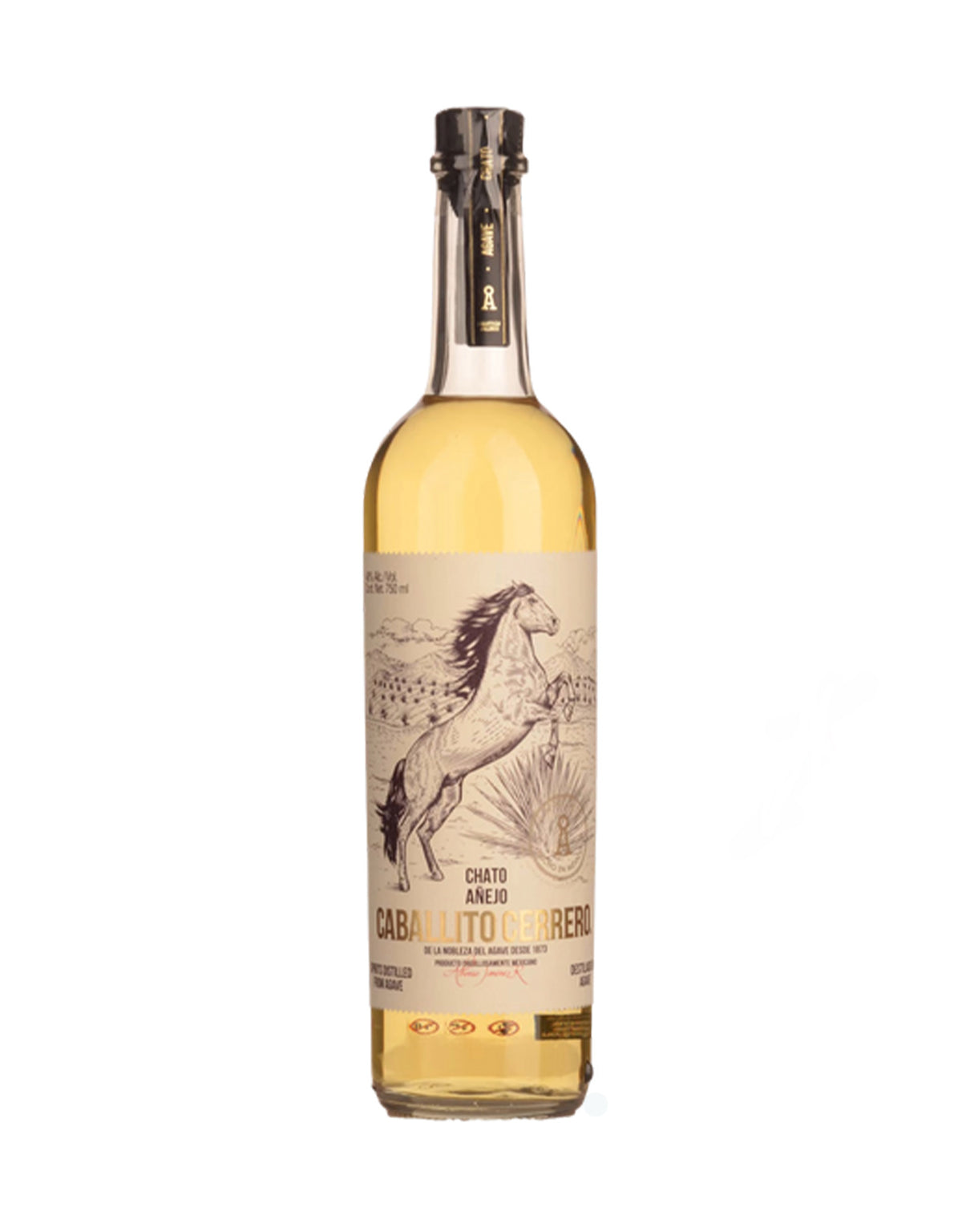 Caballito Cerrero Chato Anejo 48 - ZYN THE WINE MARKET LTD.