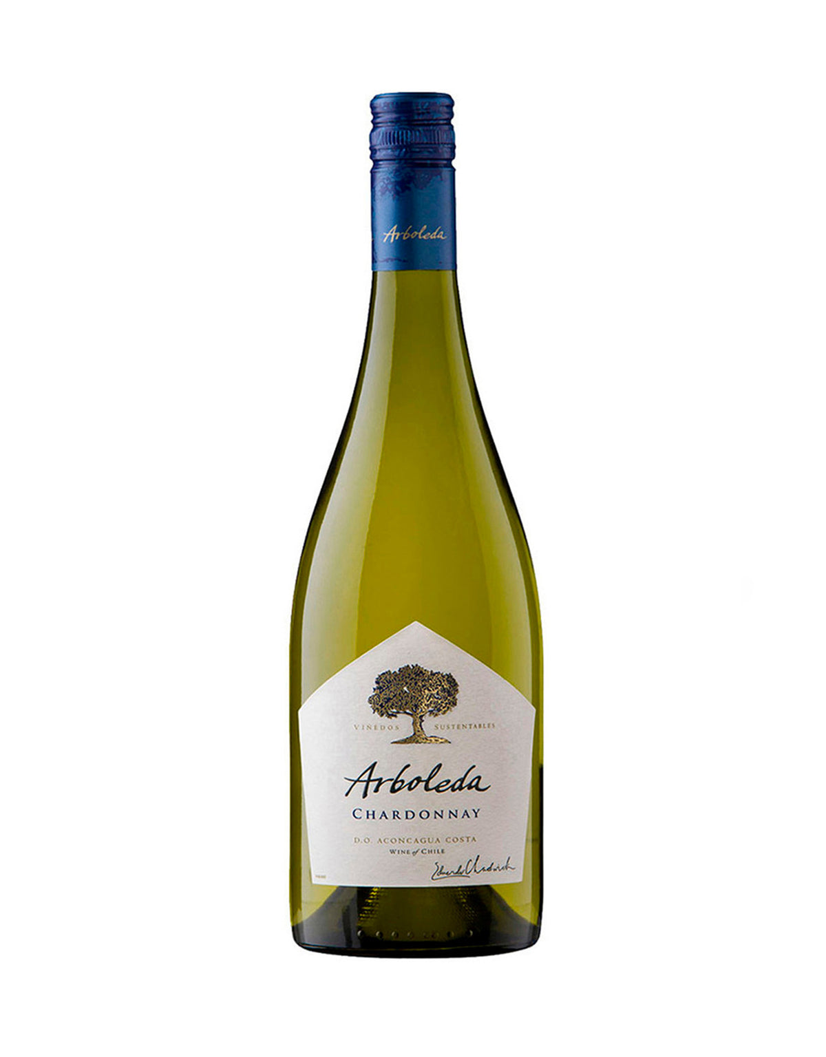 Arboleda Chardonnay 2020