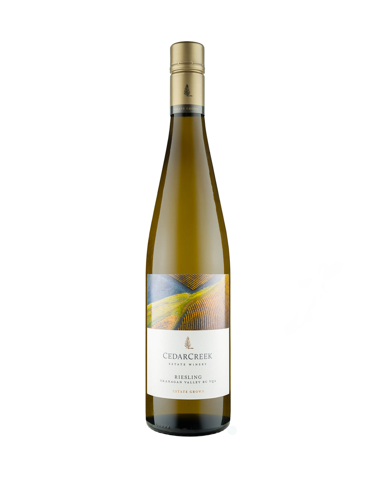 Cedar Creek Estate Riesling 2024