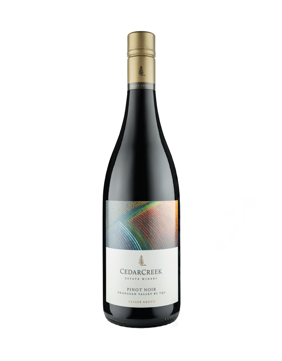 Cedar Creek Pinot Noir 2022