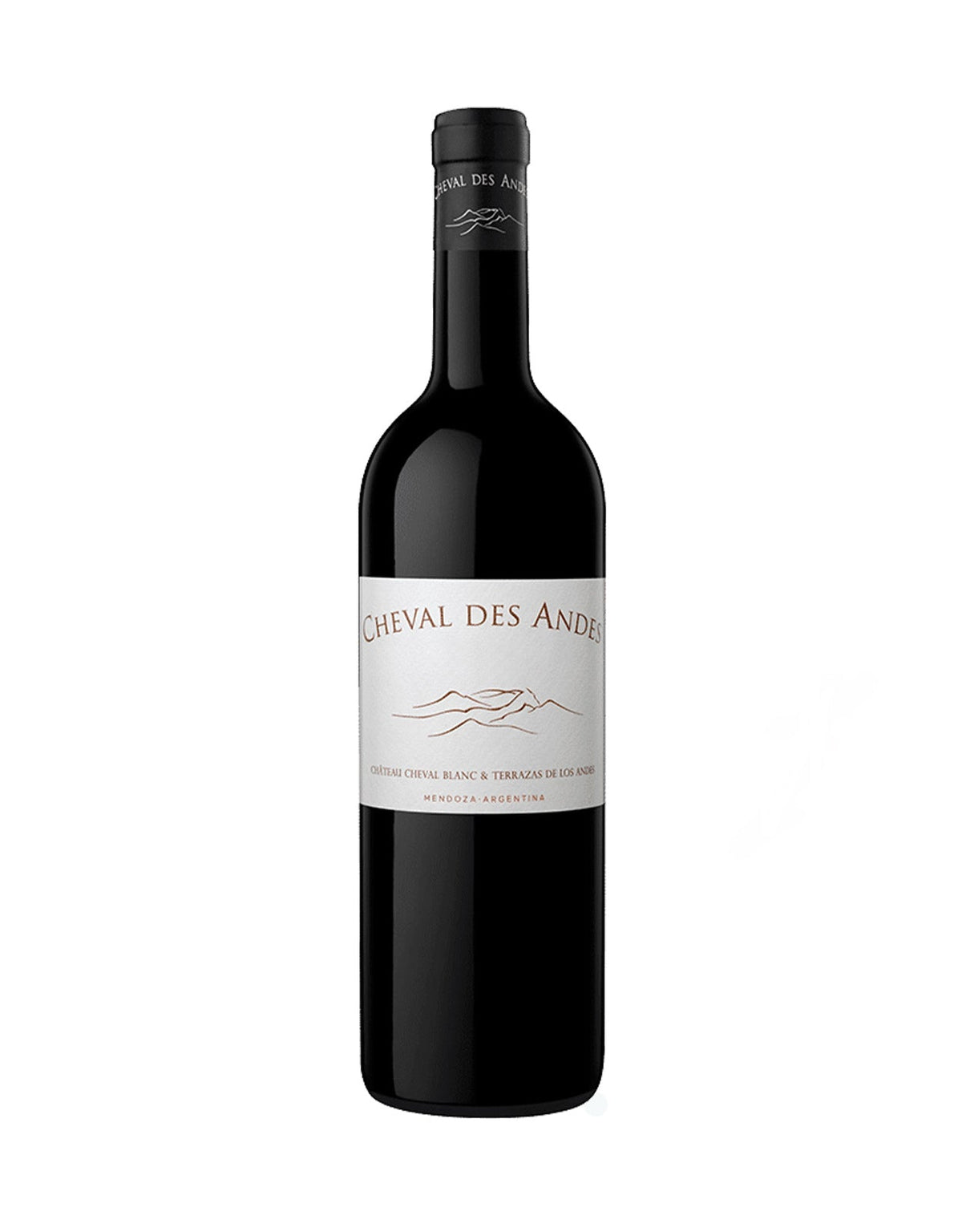 Cheval des Andes 2021