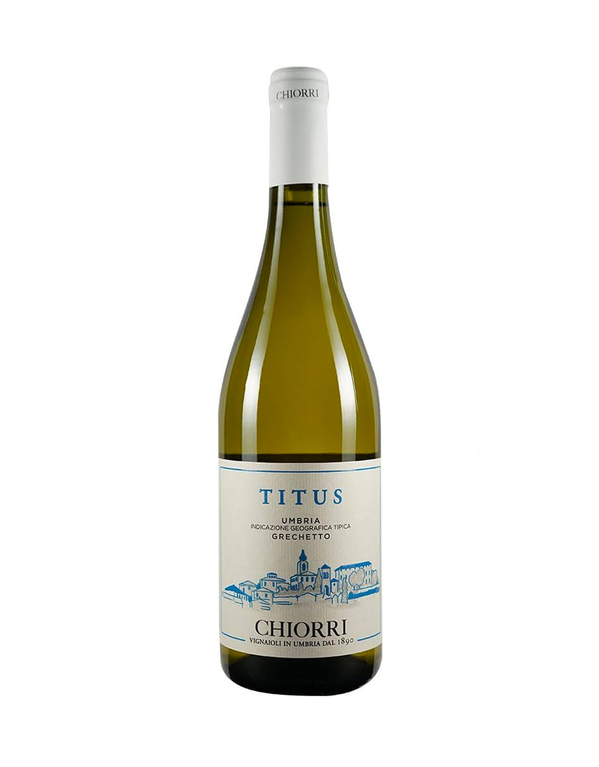 Chiorri Grechetto 'Titus' 2023