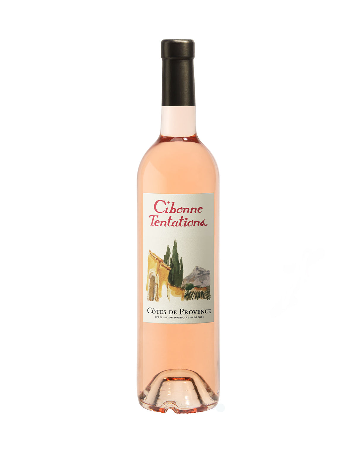 Cibonne Rose Tentations 2024