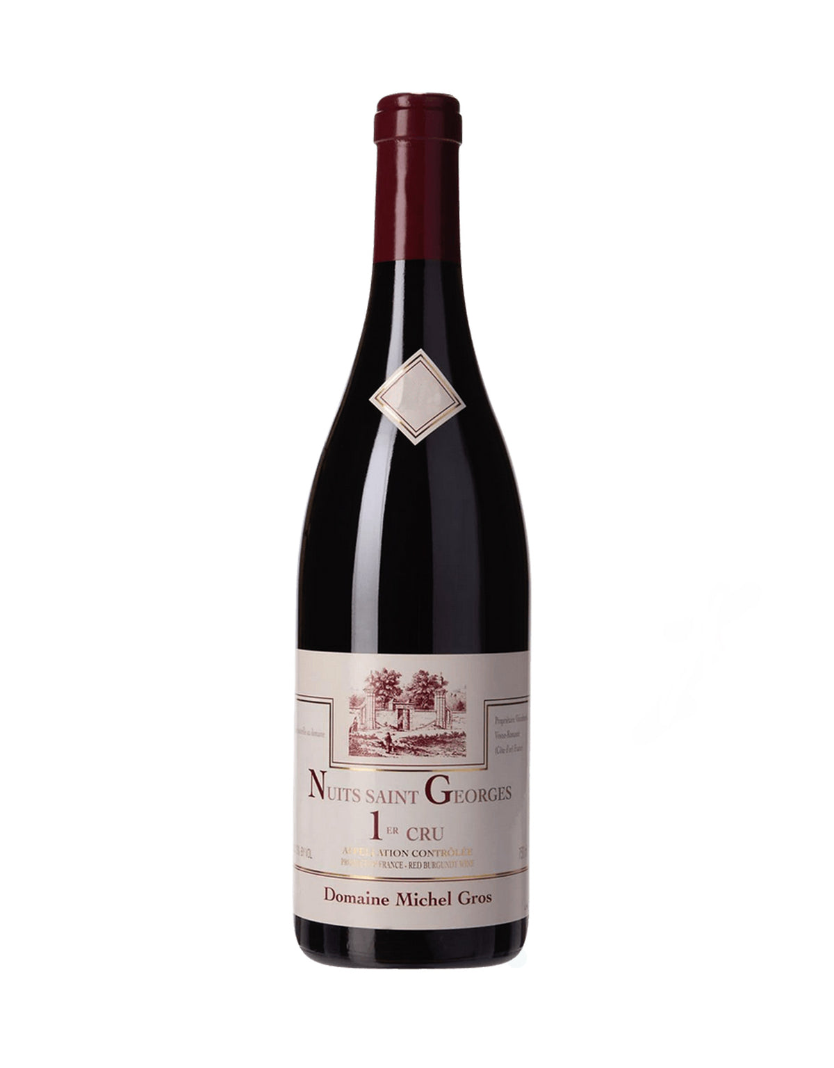 Domaine Michel Gros Nuits Saint Georges Premier Cru 2023