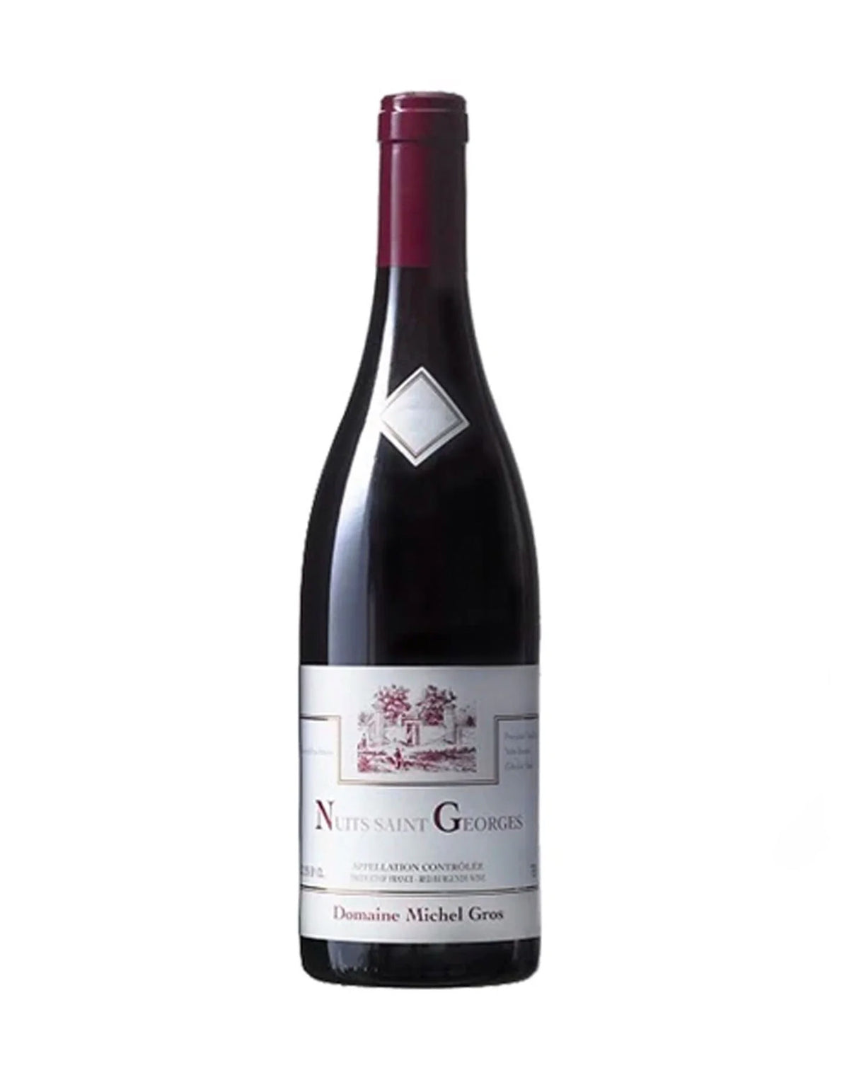 Domaine Michel Gros Nuits Saint Georges 2022