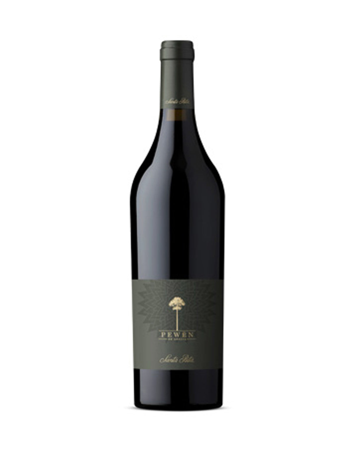 Santa Rita Pewen 2022