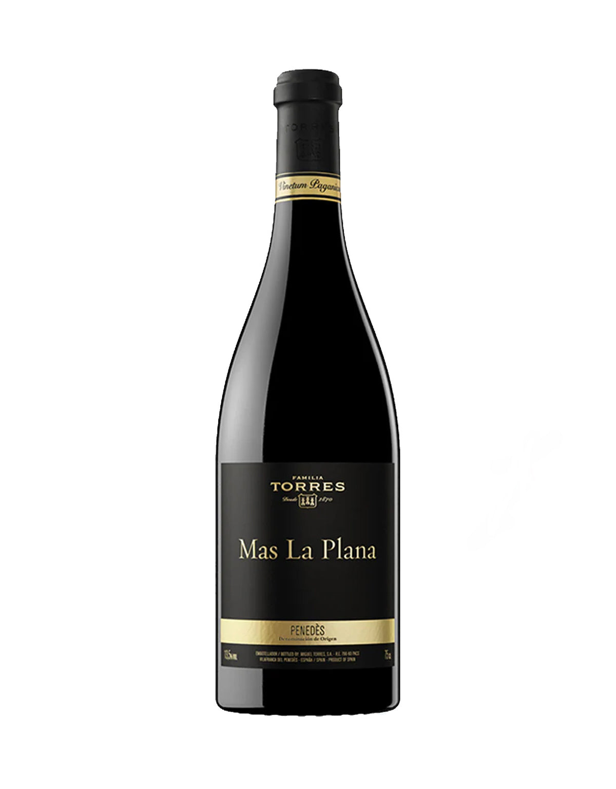 Torres Mas La Plana 2019
