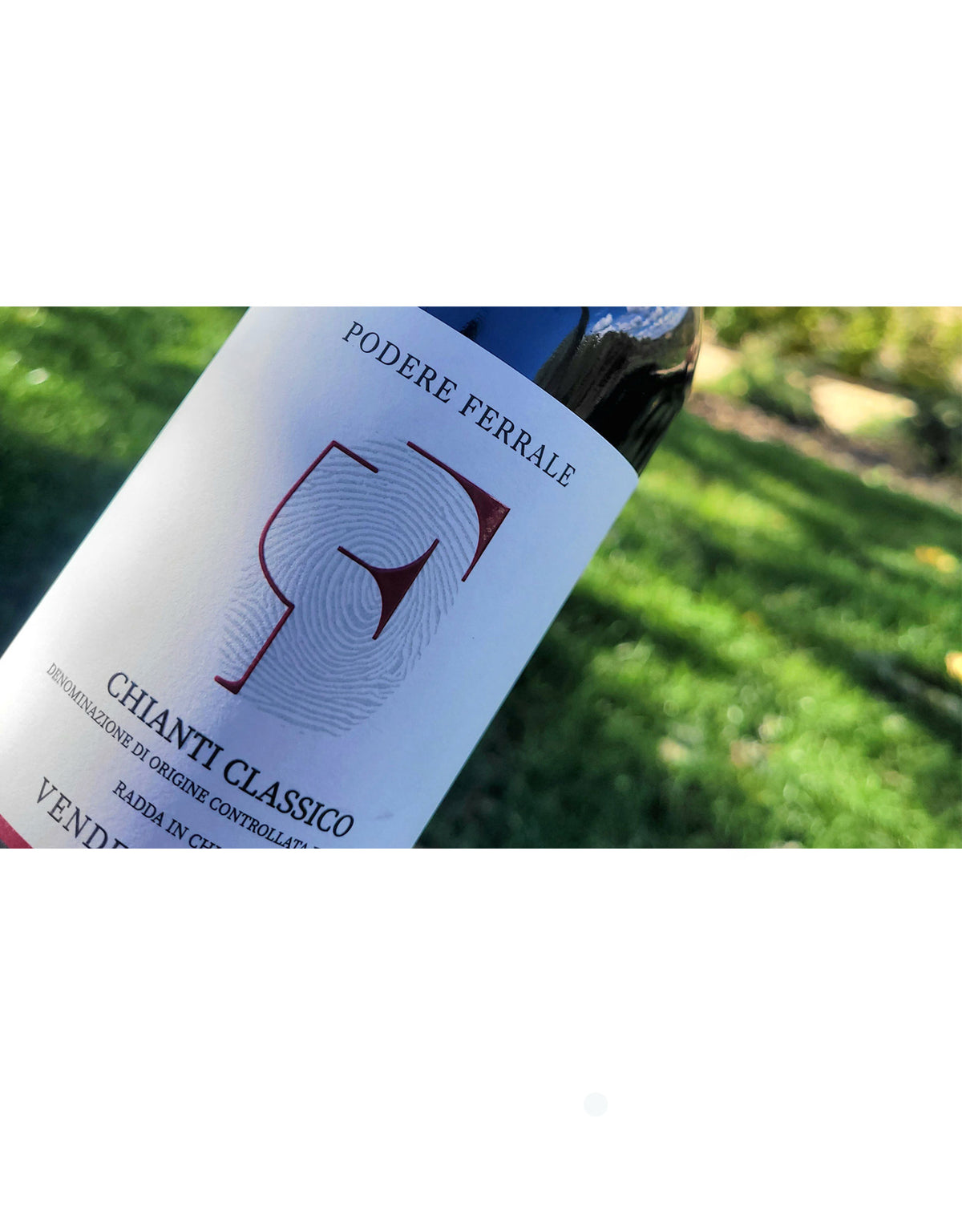 Podere Ferrale Chianti Classico 2021
