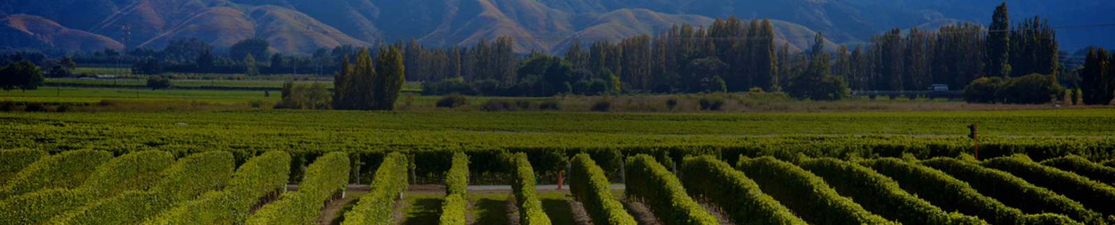 New Zealand