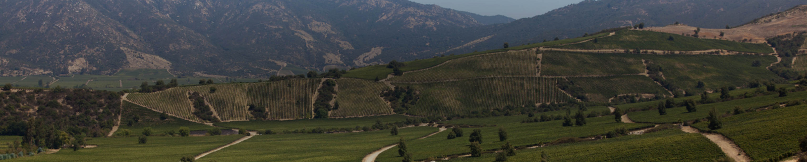 Colchagua Valley Collection
